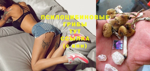 прущий лед Белокуриха